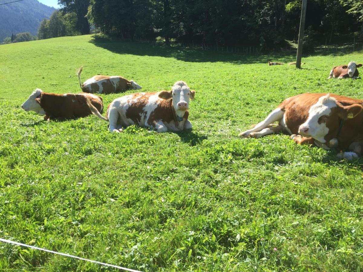 Ferienwohnung Roislerlehen Bischofswiesen Zewnętrze zdjęcie